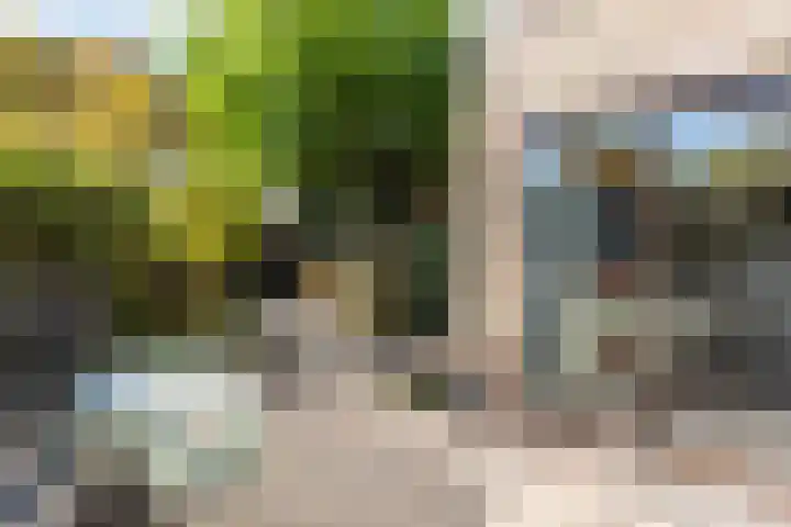 Oude Kerkstraat 20 Waalre thumbnail 29