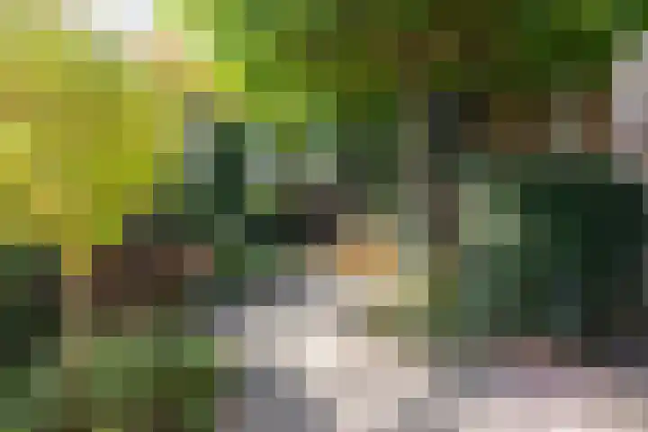 Oude Kerkstraat 20 Waalre thumbnail 30