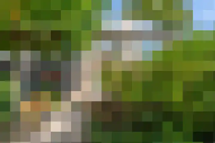 Oude Kerkstraat 20 Waalre thumbnail 31