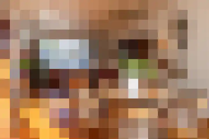 Oude Kerkstraat 20 Waalre thumbnail 6