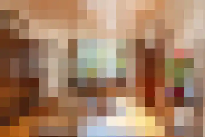Oude Kerkstraat 20 Waalre thumbnail 8