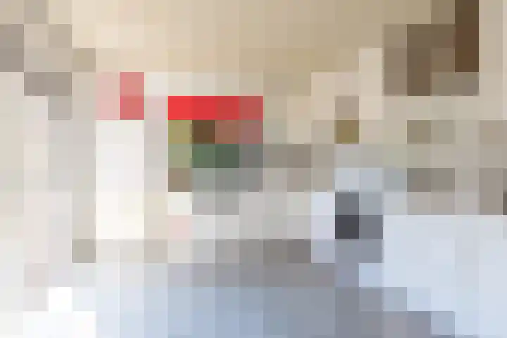 Oude Kerkstraat 20 Waalre thumbnail 9