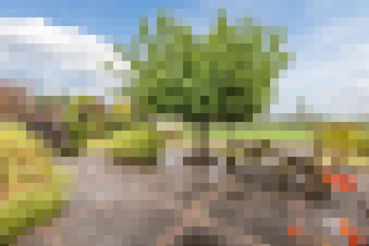 Oude Kerkstraat 23 a Standdaarbuiten thumbnail 11