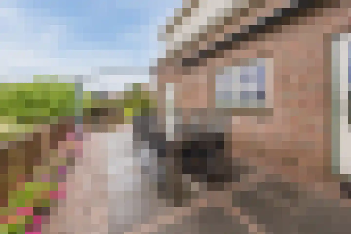 Oude Kerkstraat 23 a Standdaarbuiten thumbnail 49