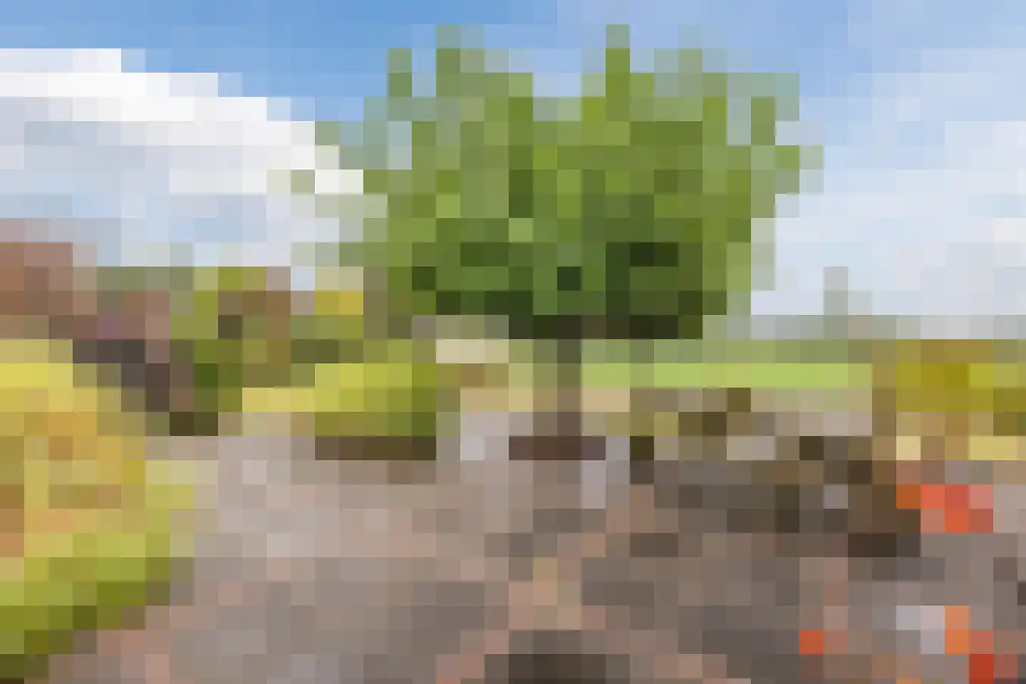 Oude Kerkstraat 23 a Standdaarbuiten thumbnail 53
