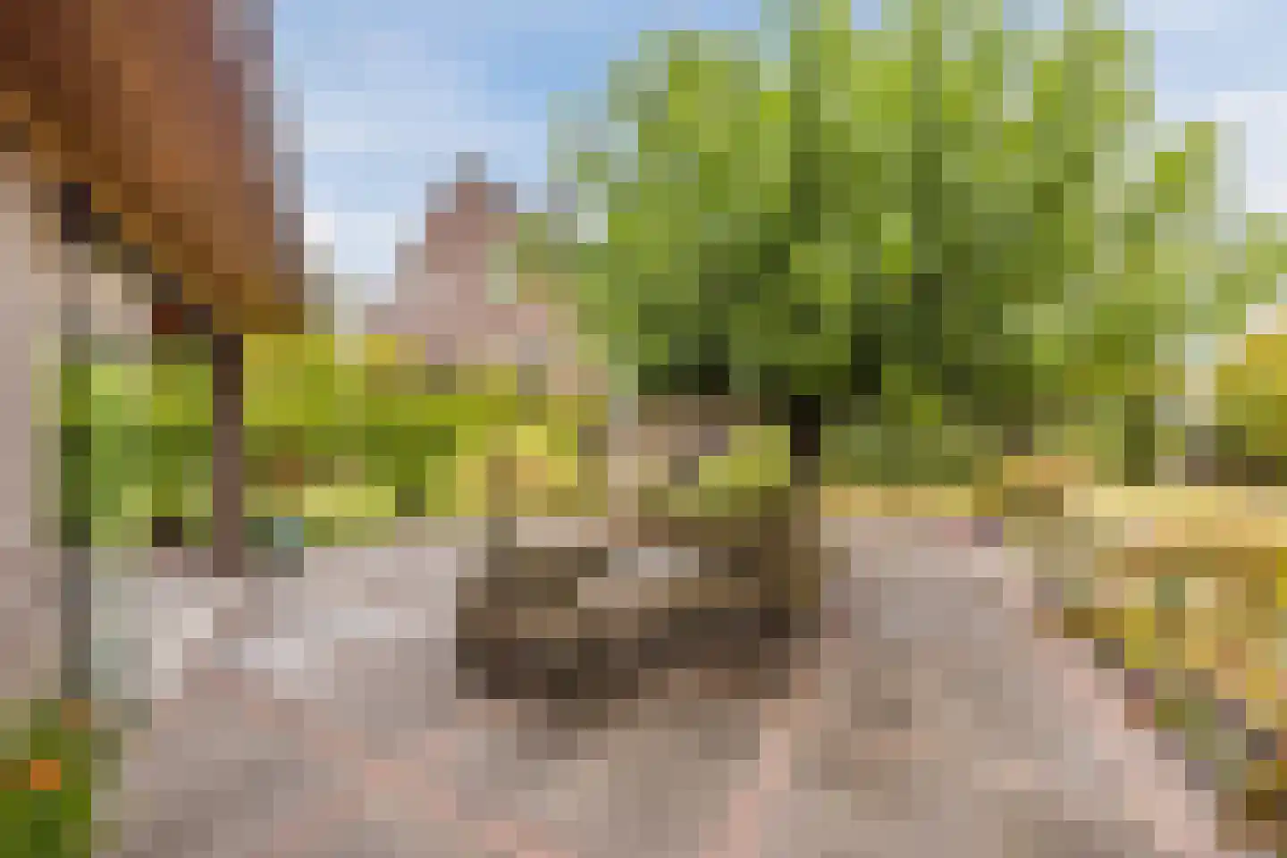 Oude Kerkstraat 23 a Standdaarbuiten thumbnail 57