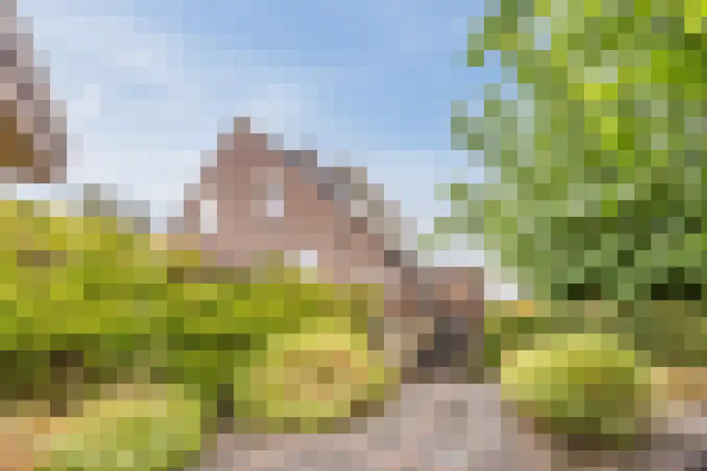 Oude Kerkstraat 23 a Standdaarbuiten thumbnail 58