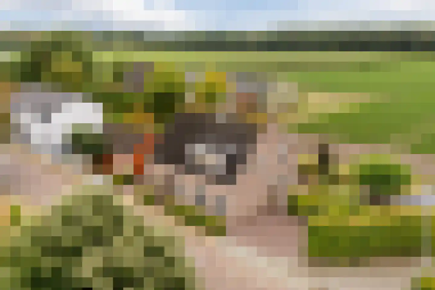 Oude Kerkstraat 23 a Standdaarbuiten thumbnail 6