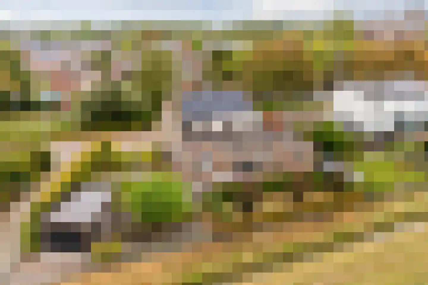 Oude Kerkstraat 23 a Standdaarbuiten thumbnail 64