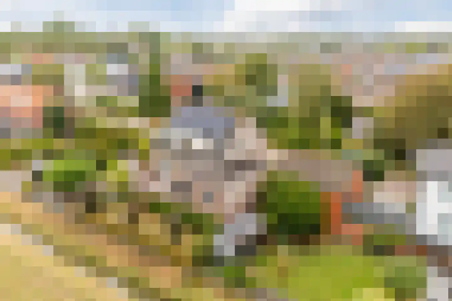 Oude Kerkstraat 23 a Standdaarbuiten thumbnail 66