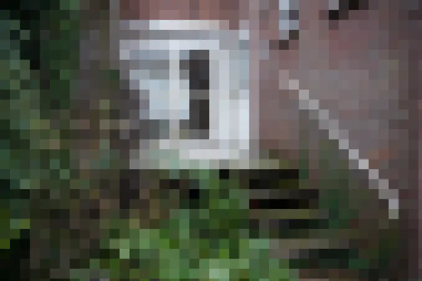 Oude Kerkstraat 24 Aardenburg thumbnail 34