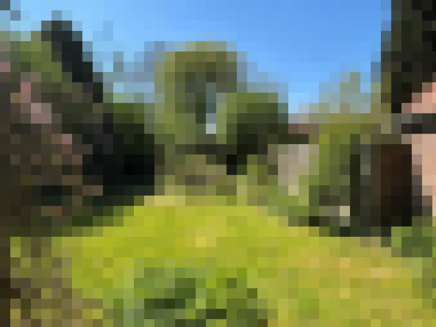 Oude Kerkstraat 24 Aardenburg thumbnail 36