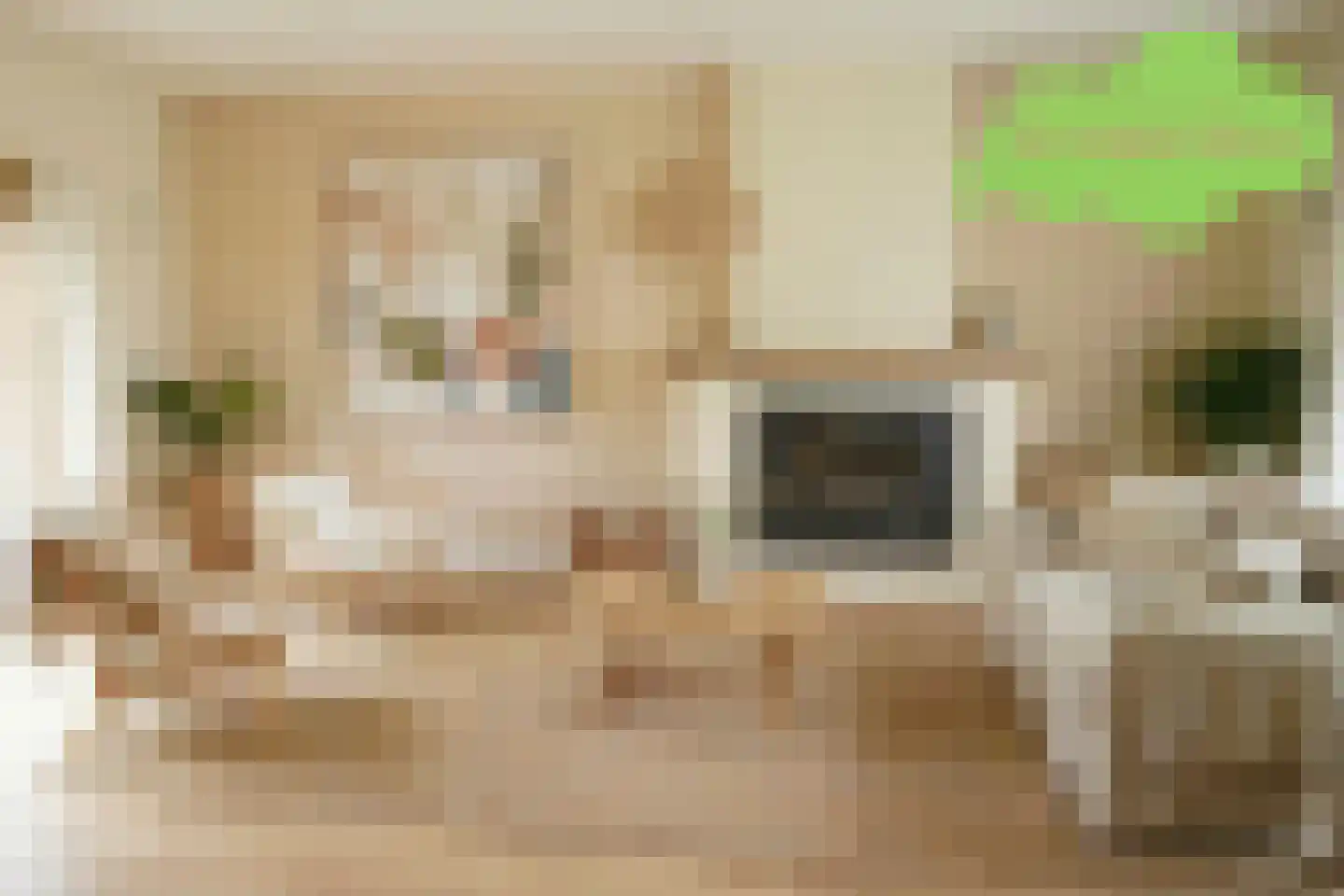 Oude Kerkstraat 24 Aardenburg thumbnail 5
