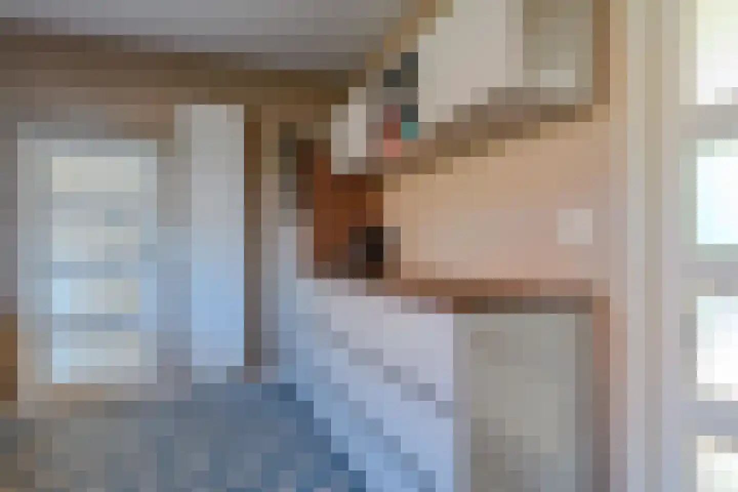 Oude Kerkstraat 24 Bergen L thumbnail 13