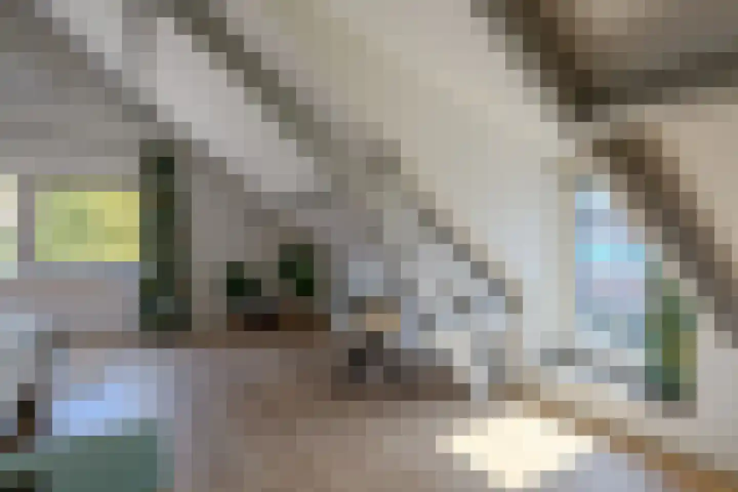 Oude Kerkstraat 24 Bergen L thumbnail 22