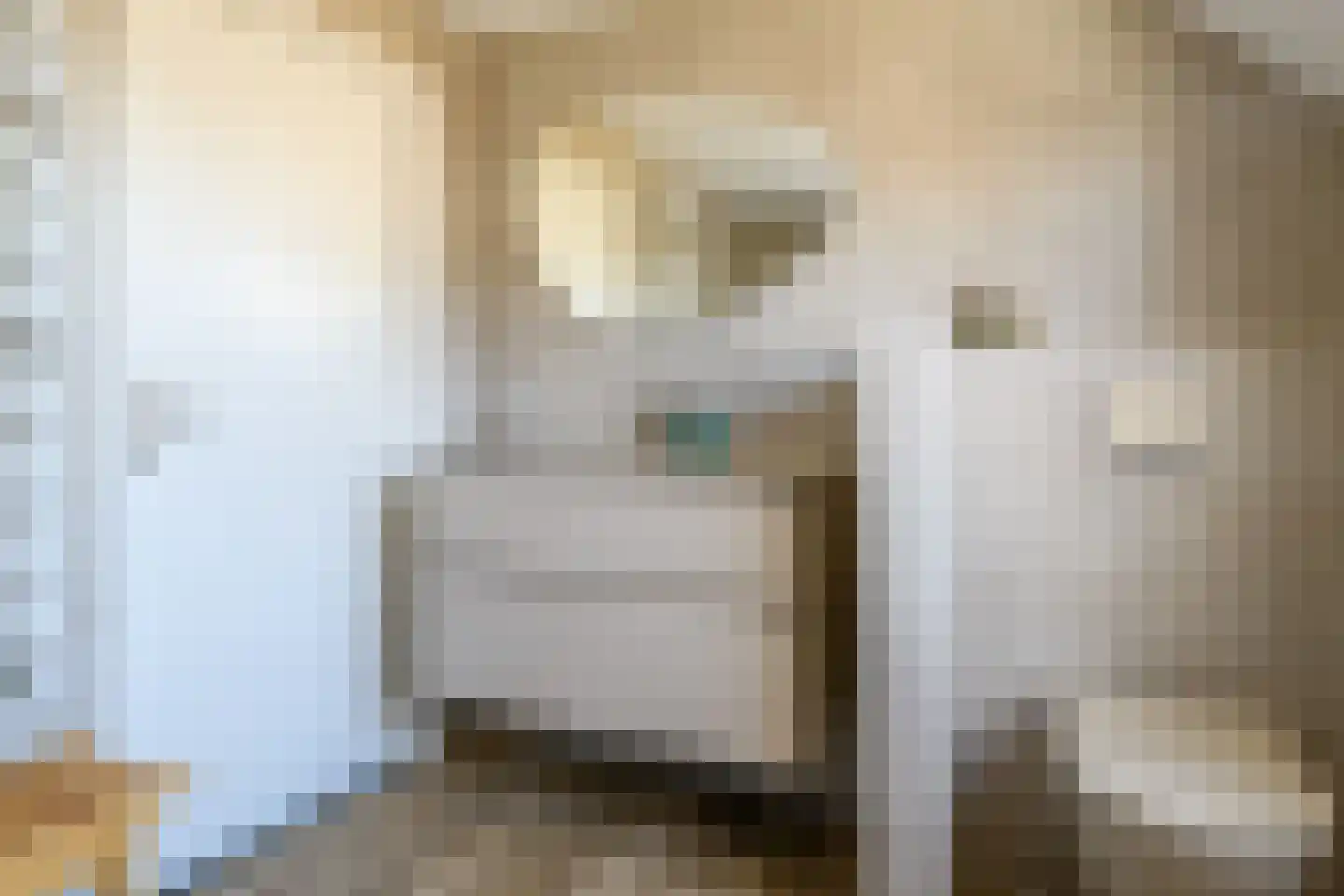 Oude Kerkstraat 24 Bergen L thumbnail 28