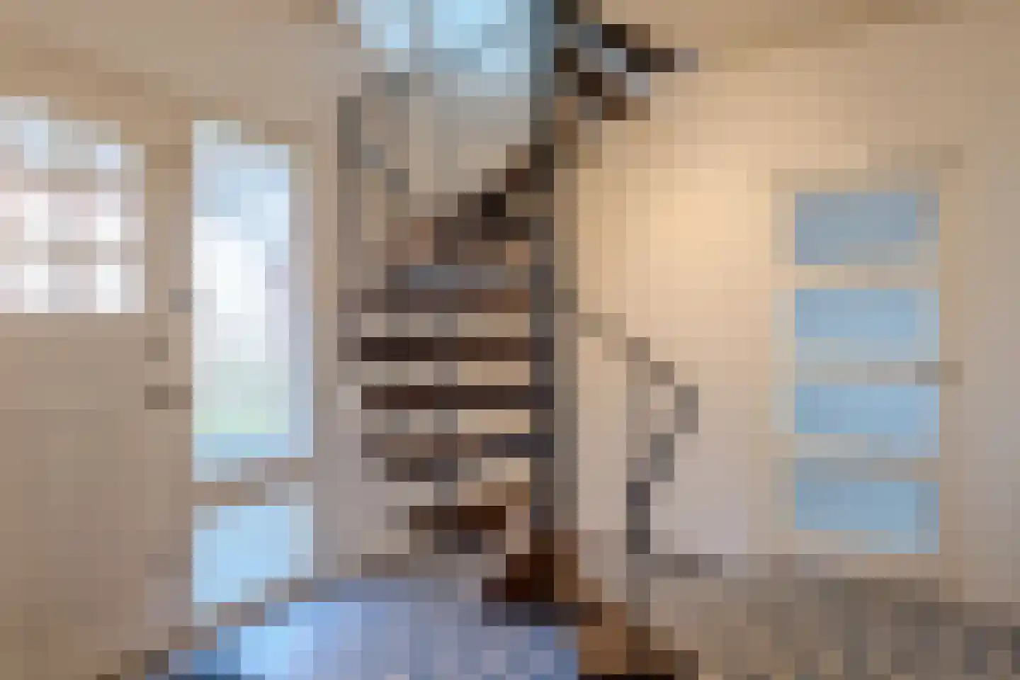 Oude Kerkstraat 24 Bergen L thumbnail 31