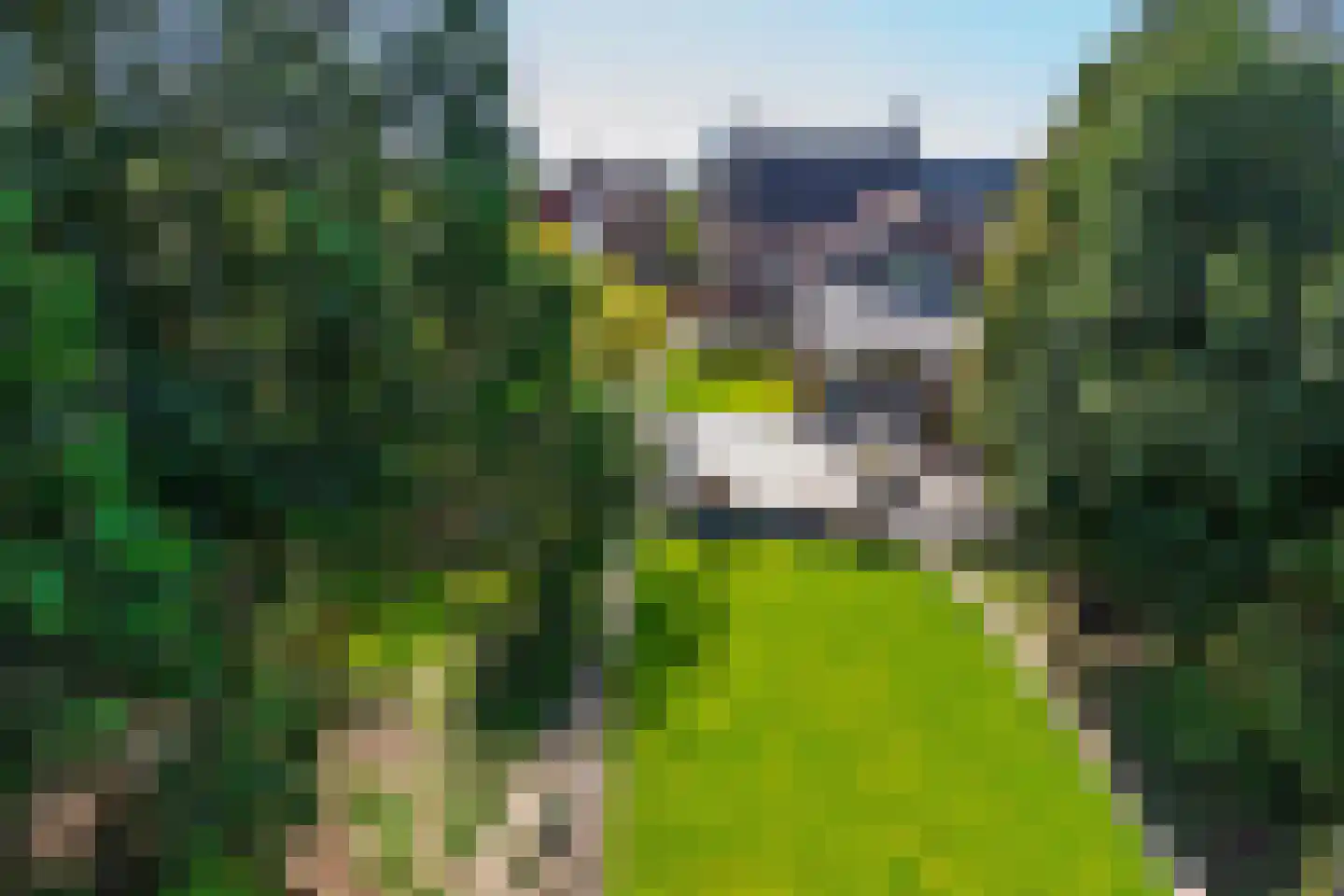 Oude Kerkstraat 24 Bergen L thumbnail 40