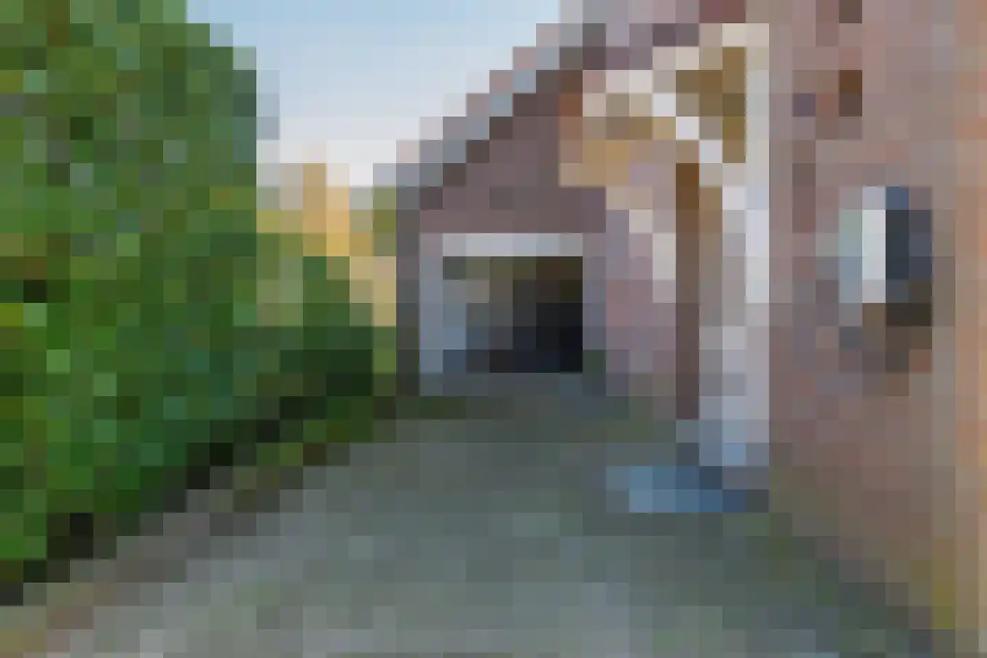 Oude Kerkstraat 24 Bergen L thumbnail 6