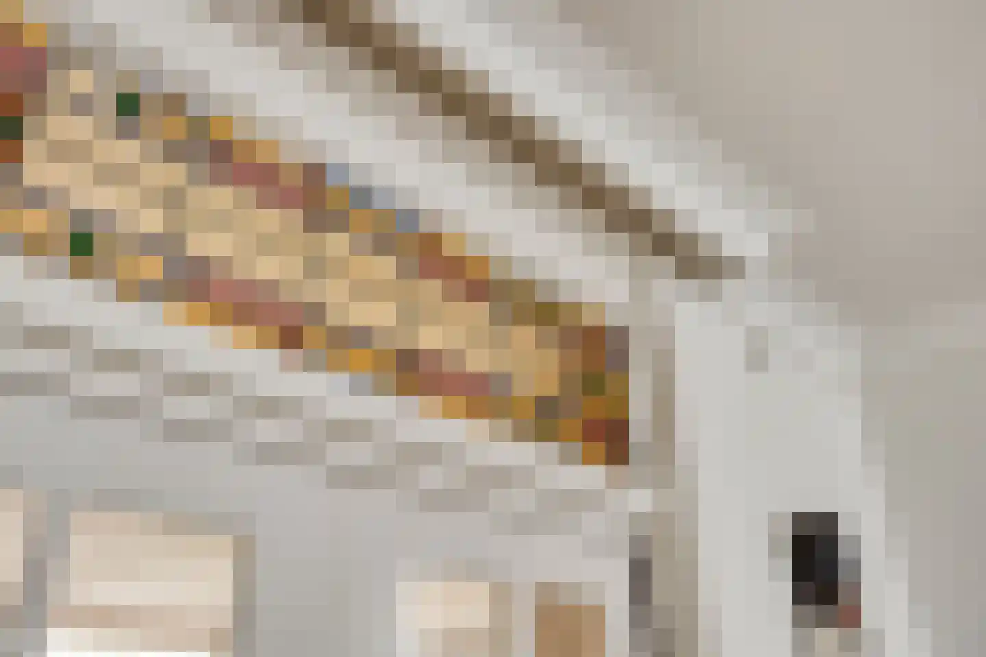 Oude Kerkstraat 26 Oss thumbnail 11