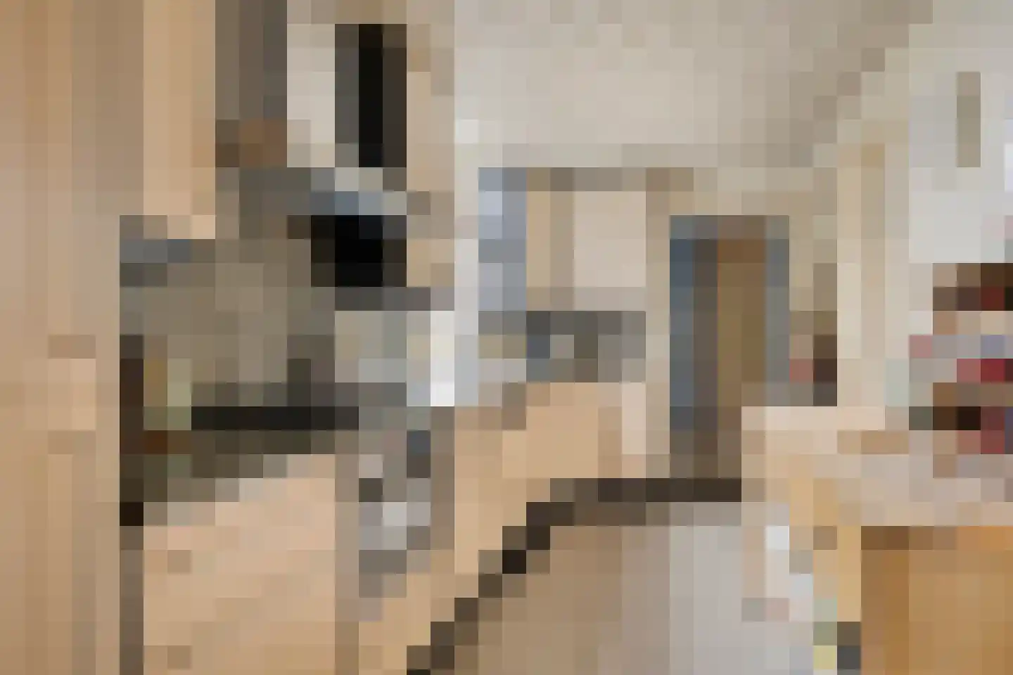 Oude Kerkstraat 26 Oss thumbnail 12