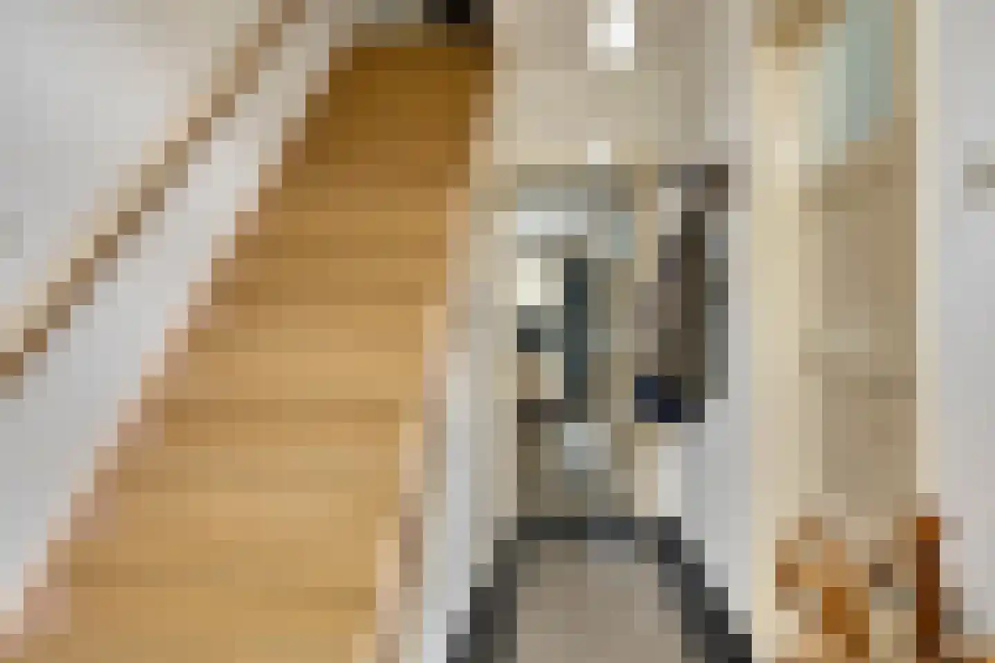 Oude Kerkstraat 26 Oss thumbnail 17
