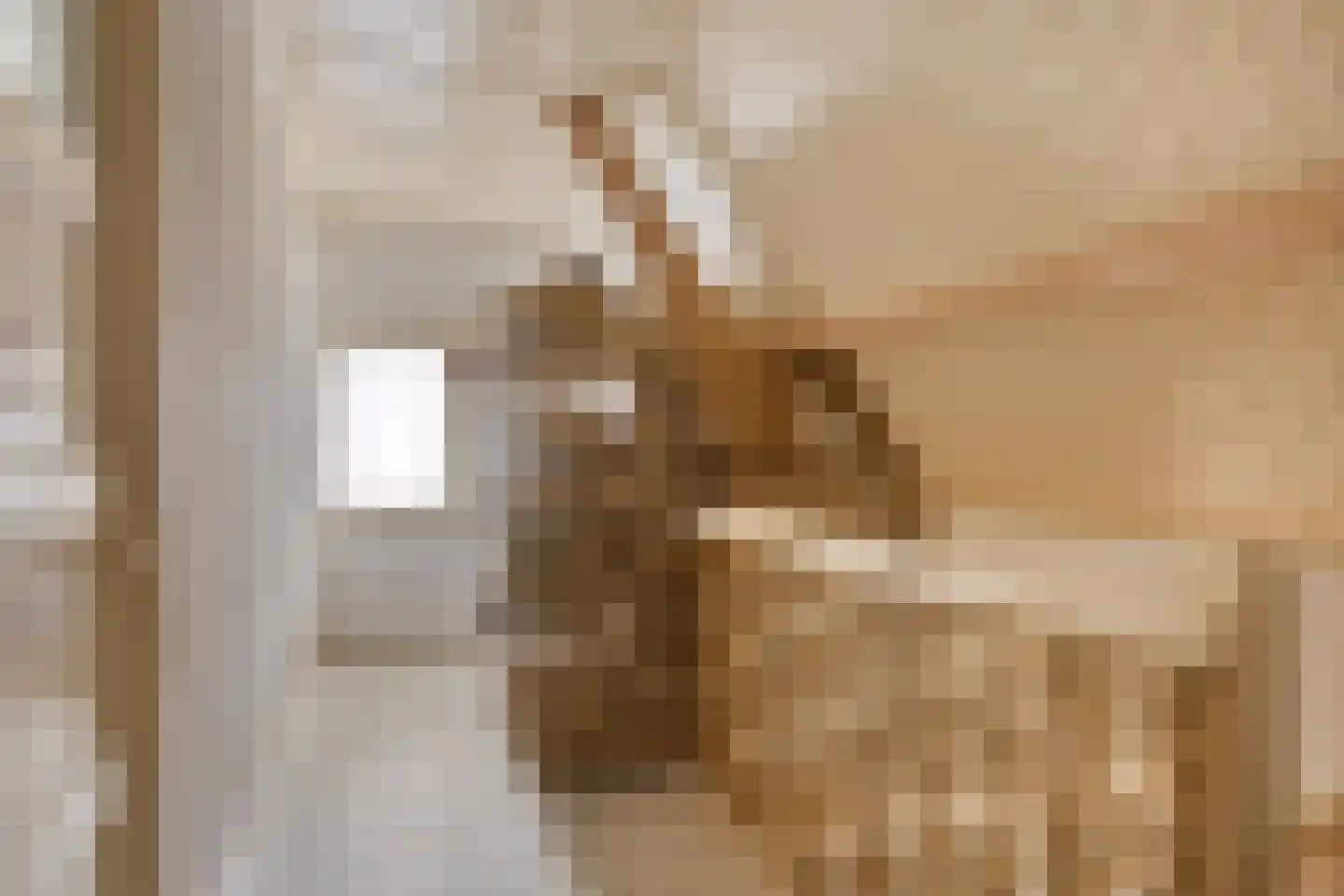 Oude Kerkstraat 26 Oss thumbnail 18