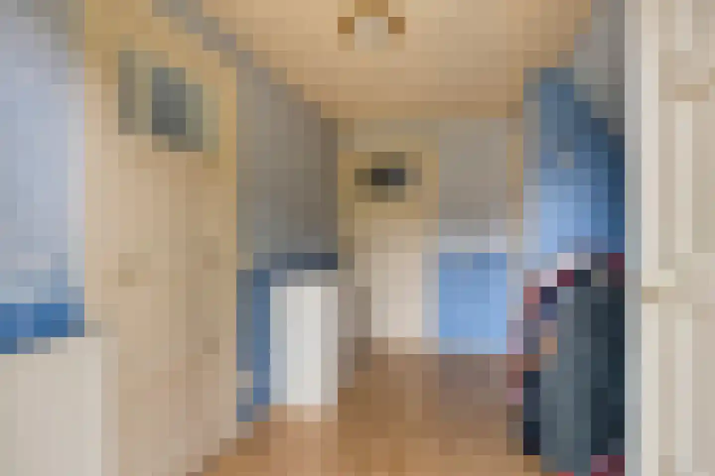 Oude Kerkstraat 26 Oss thumbnail 23