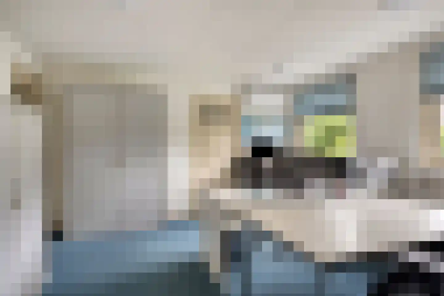 Oude Kerkstraat 26 Oss thumbnail 27