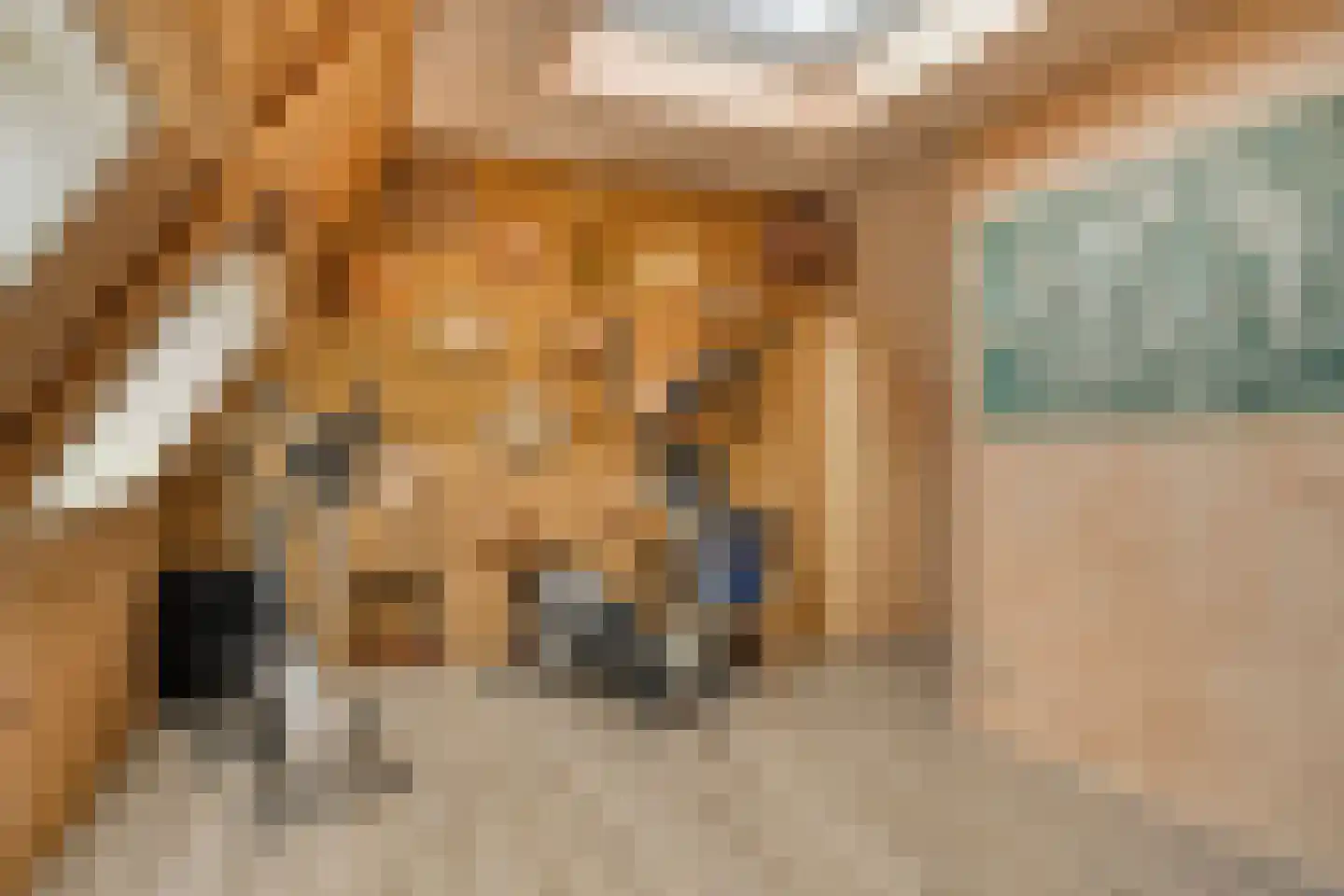 Oude Kerkstraat 26 Oss thumbnail 31