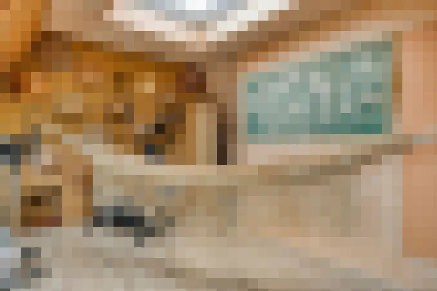 Oude Kerkstraat 26 Oss thumbnail 32