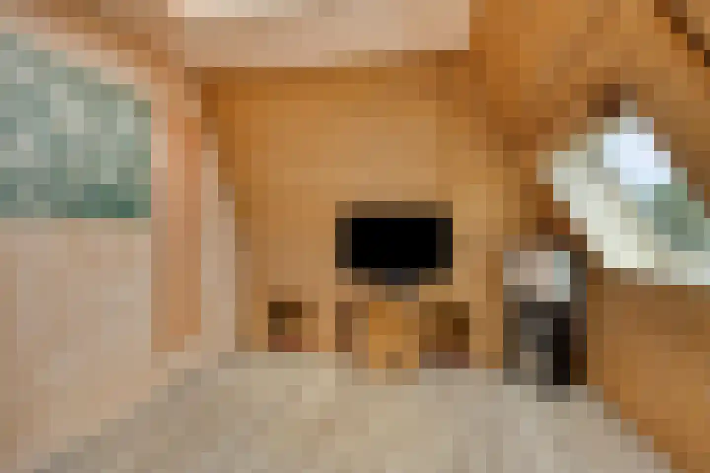 Oude Kerkstraat 26 Oss thumbnail 33