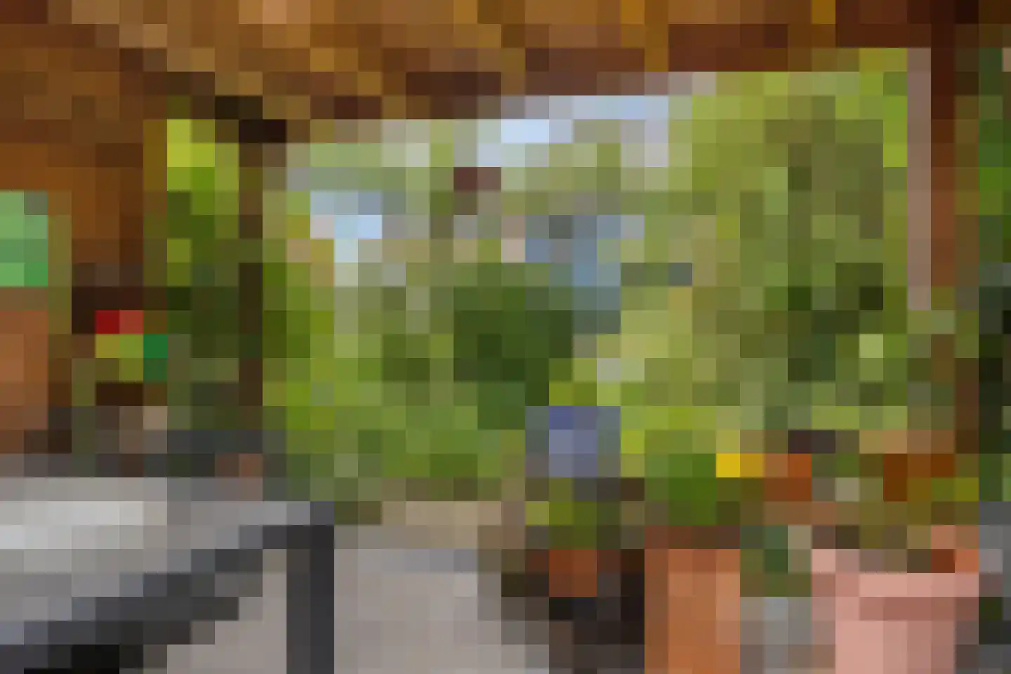 Oude Kerkstraat 26 Oss thumbnail 41