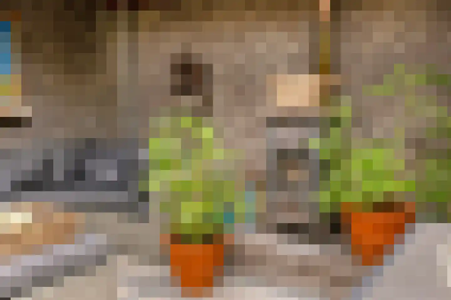 Oude Kerkstraat 26 Oss thumbnail 43