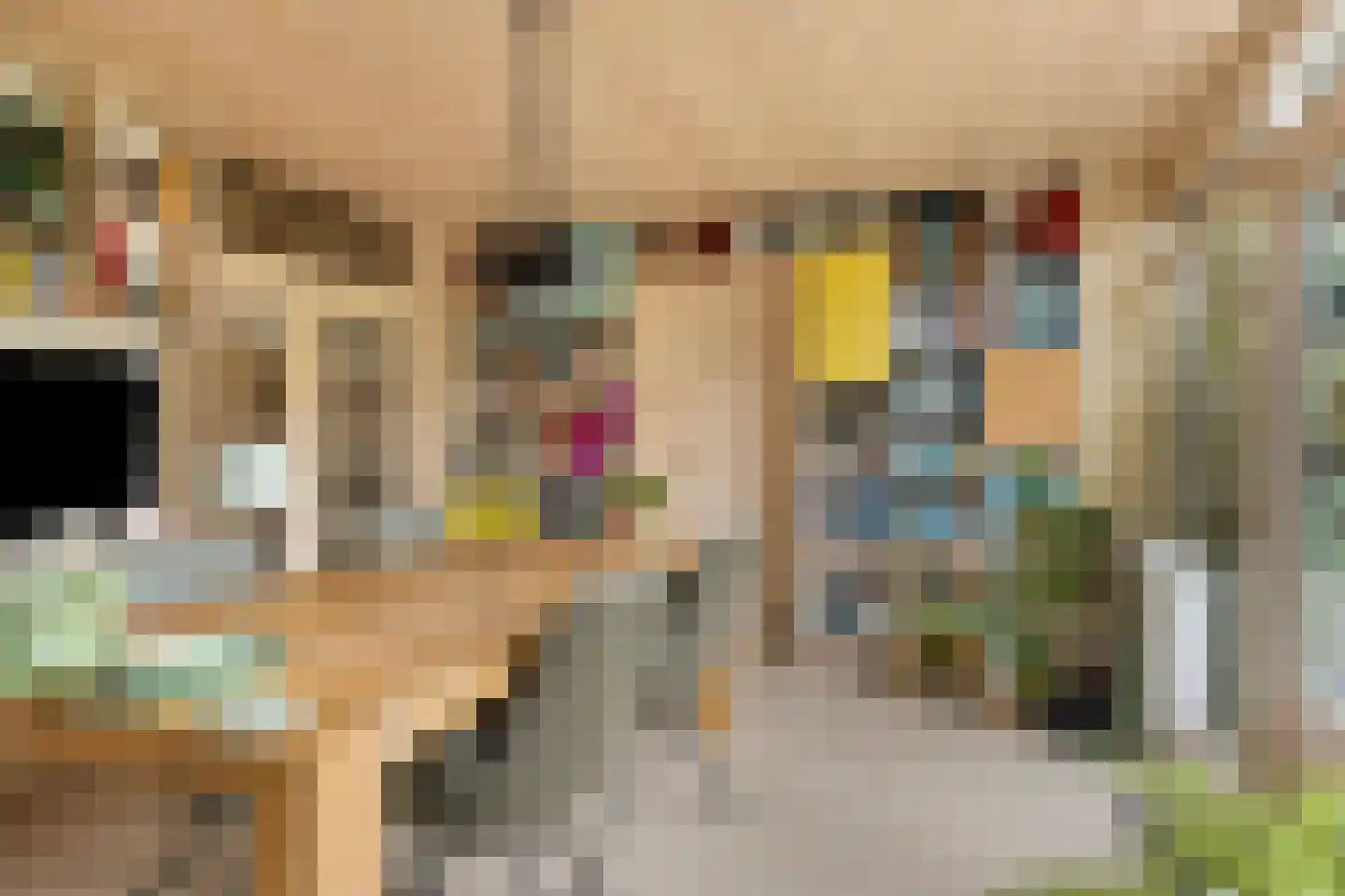 Oude Kerkstraat 26 Oss thumbnail 5