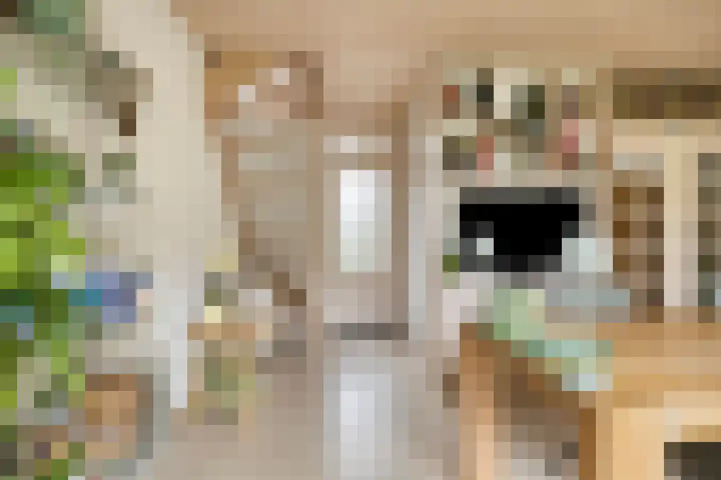 Oude Kerkstraat 26 Oss thumbnail 6