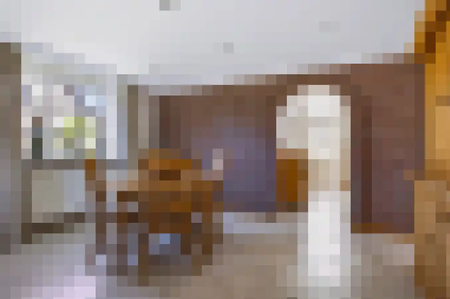 Oude Kerkstraat 28 Bergen L thumbnail 12