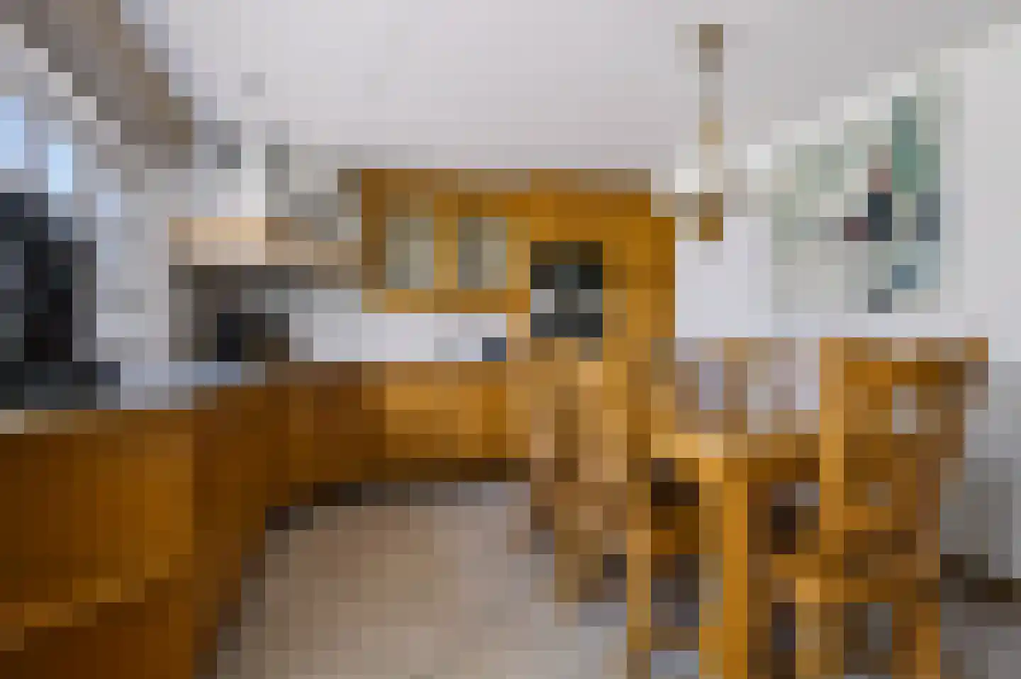Oude Kerkstraat 28 Bergen L thumbnail 16