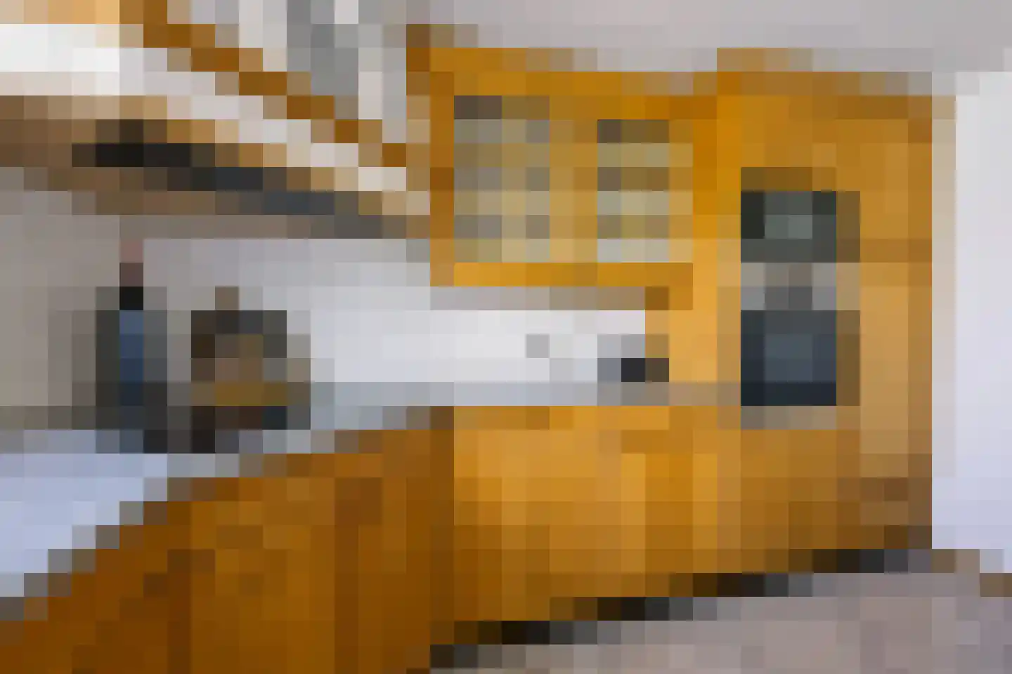 Oude Kerkstraat 28 Bergen L thumbnail 17