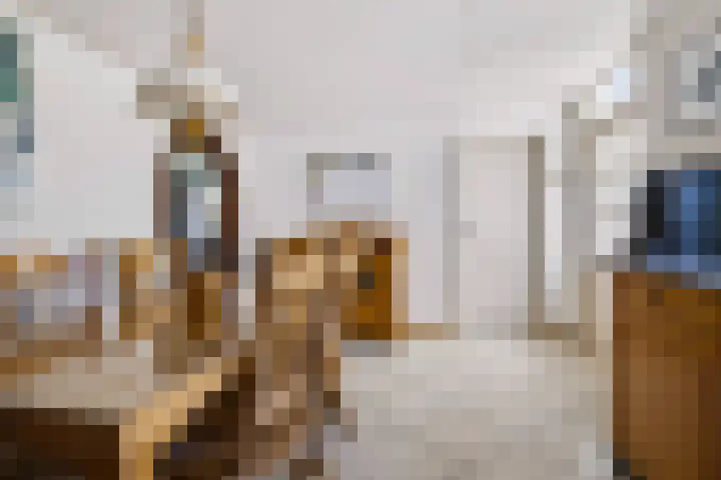 Oude Kerkstraat 28 Bergen L thumbnail 18
