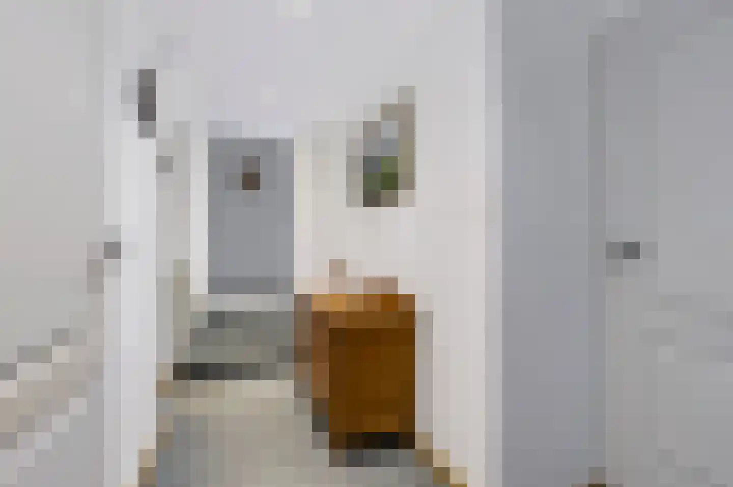 Oude Kerkstraat 28 Bergen L thumbnail 24