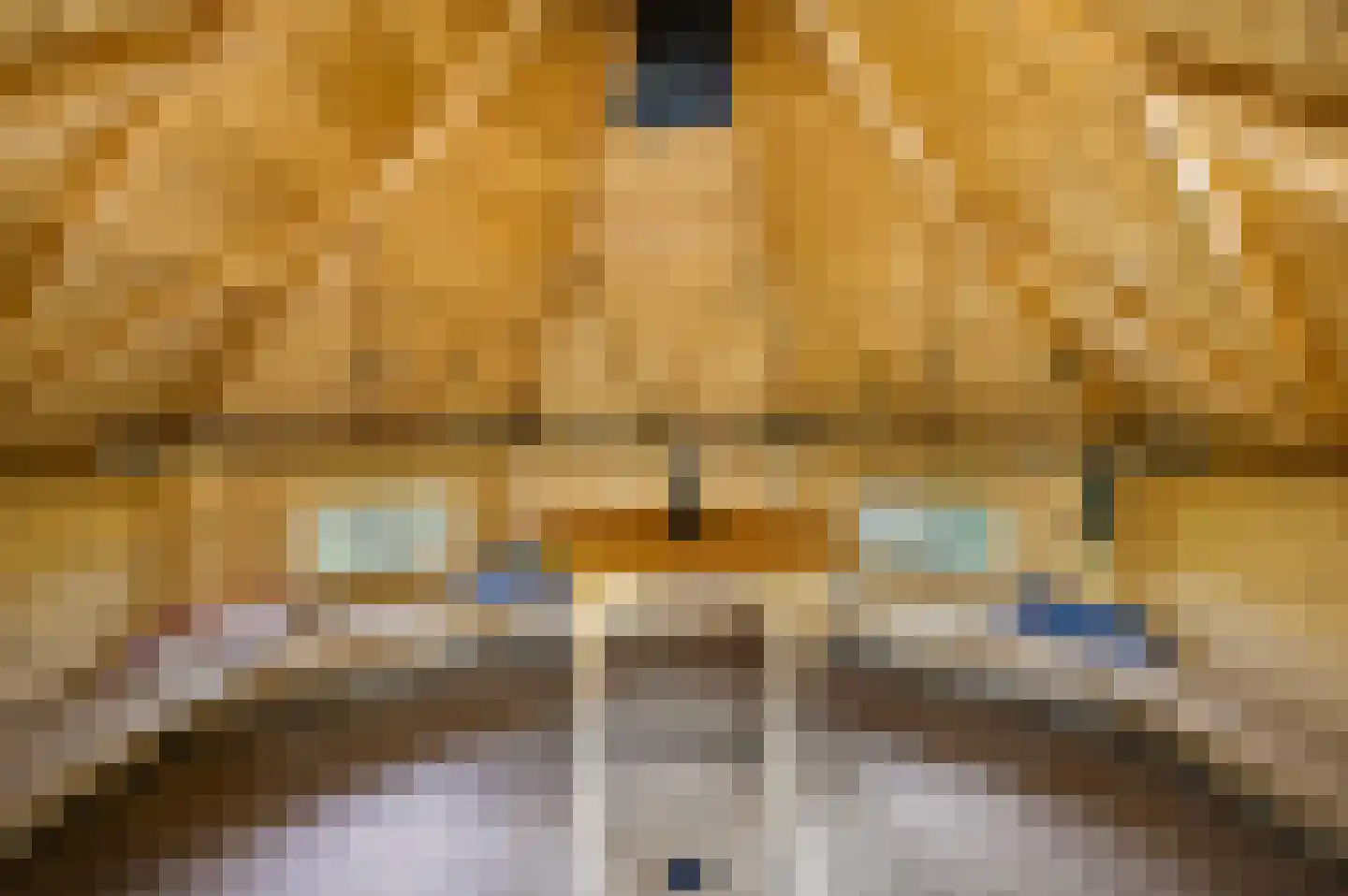 Oude Kerkstraat 28 Bergen L thumbnail 43
