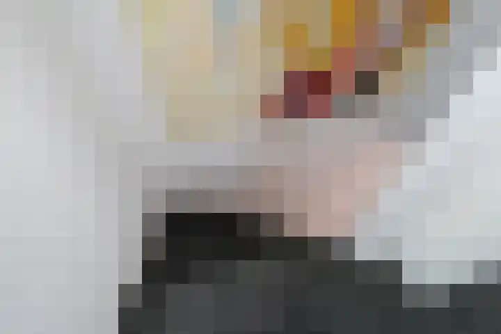 Oude Kerkstraat 28 Tilburg thumbnail 52