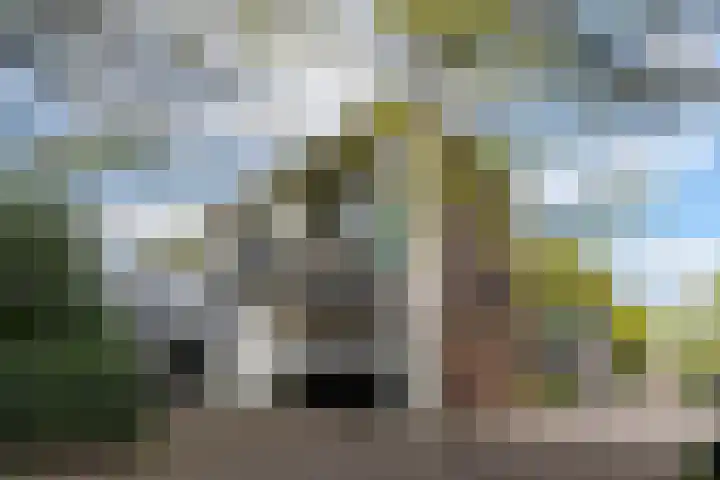 Oude Kerkstraat 28 Tilburg thumbnail 9