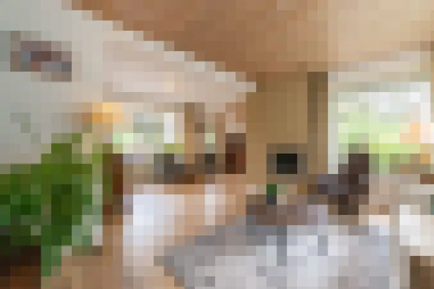 Oude Kerkstraat 30 A Veldhoven thumbnail 10