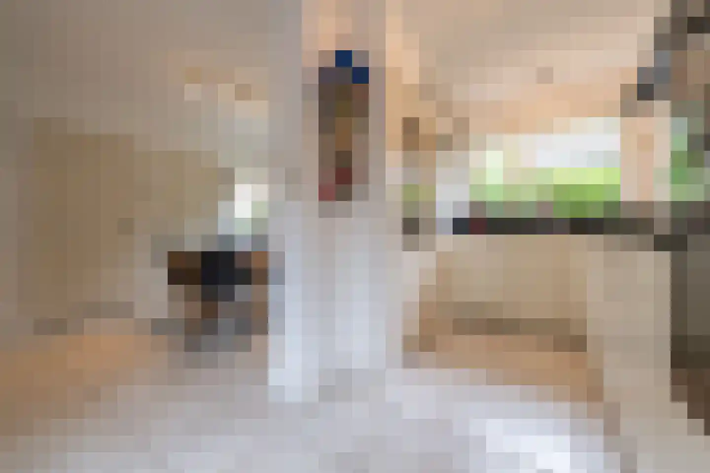 Oude Kerkstraat 30 A Veldhoven thumbnail 19