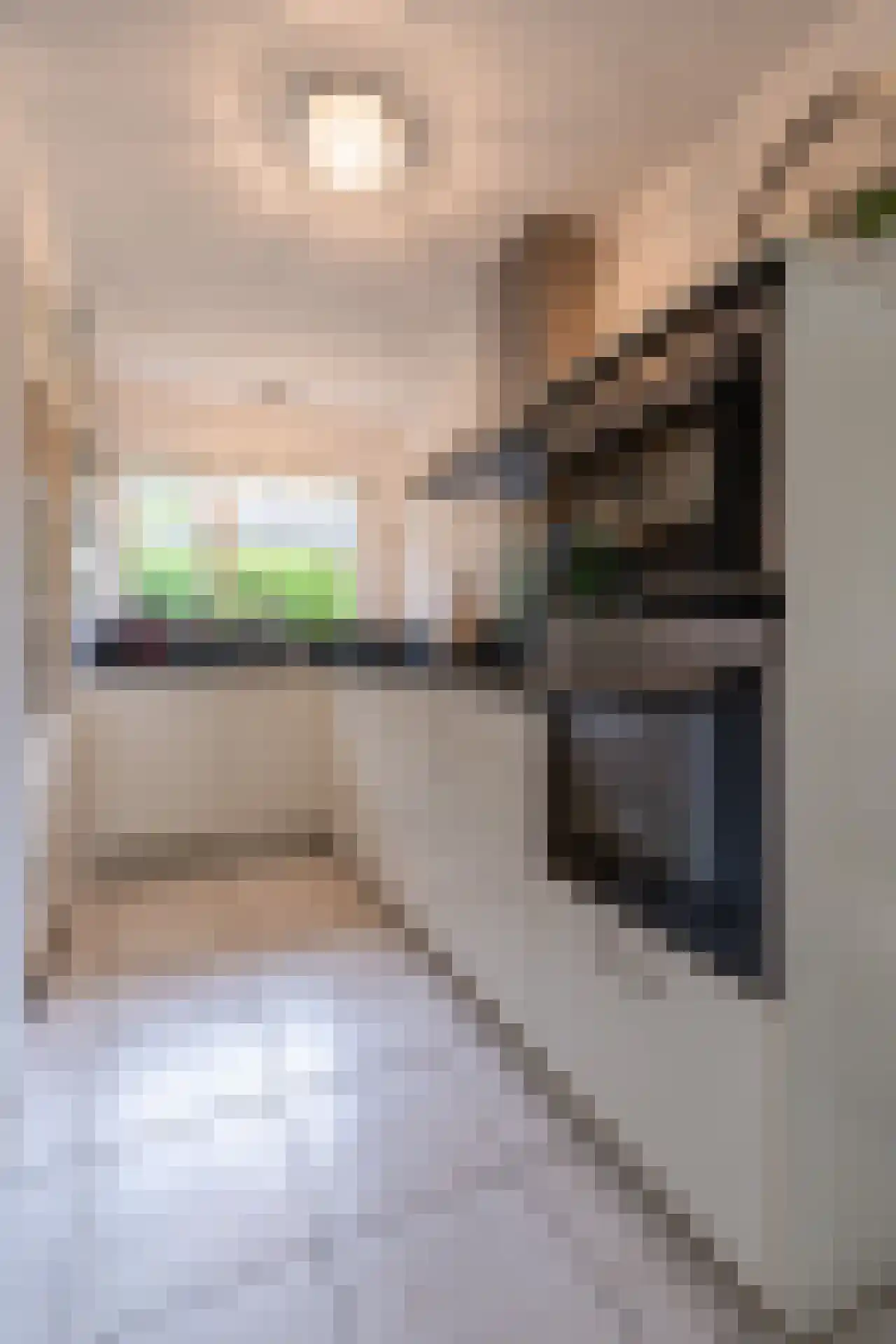 Oude Kerkstraat 30 A Veldhoven thumbnail 21