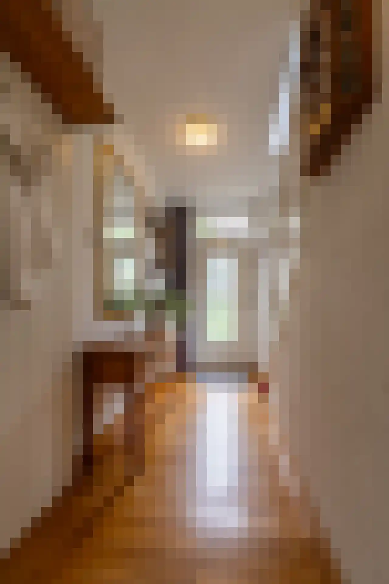 Oude Kerkstraat 30 A Veldhoven thumbnail 5