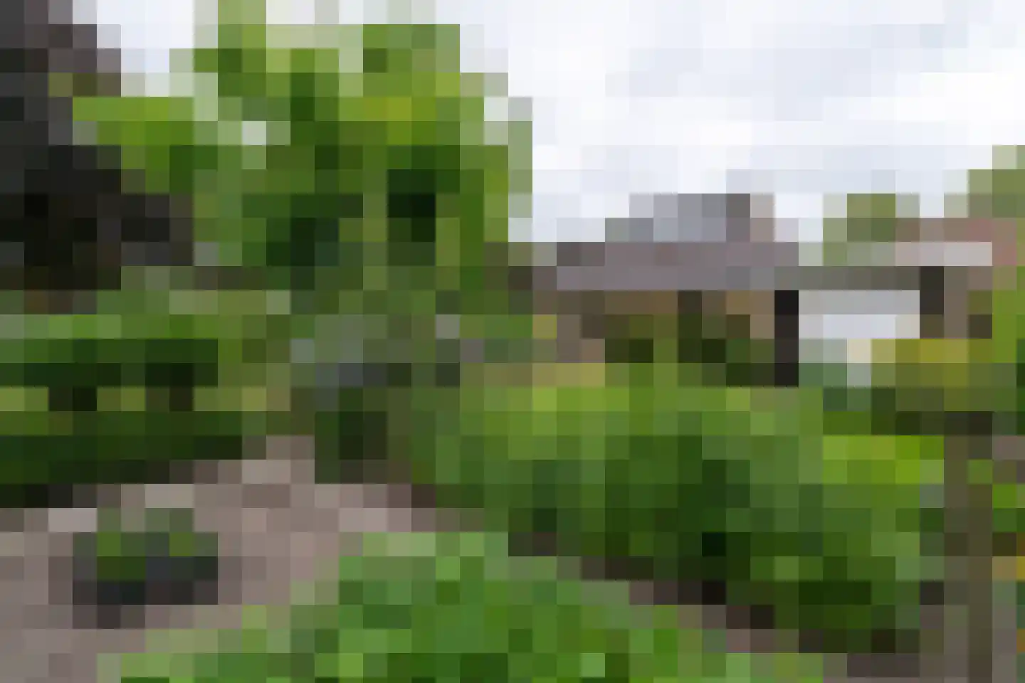 Oude Kerkstraat 30 A Veldhoven thumbnail 51
