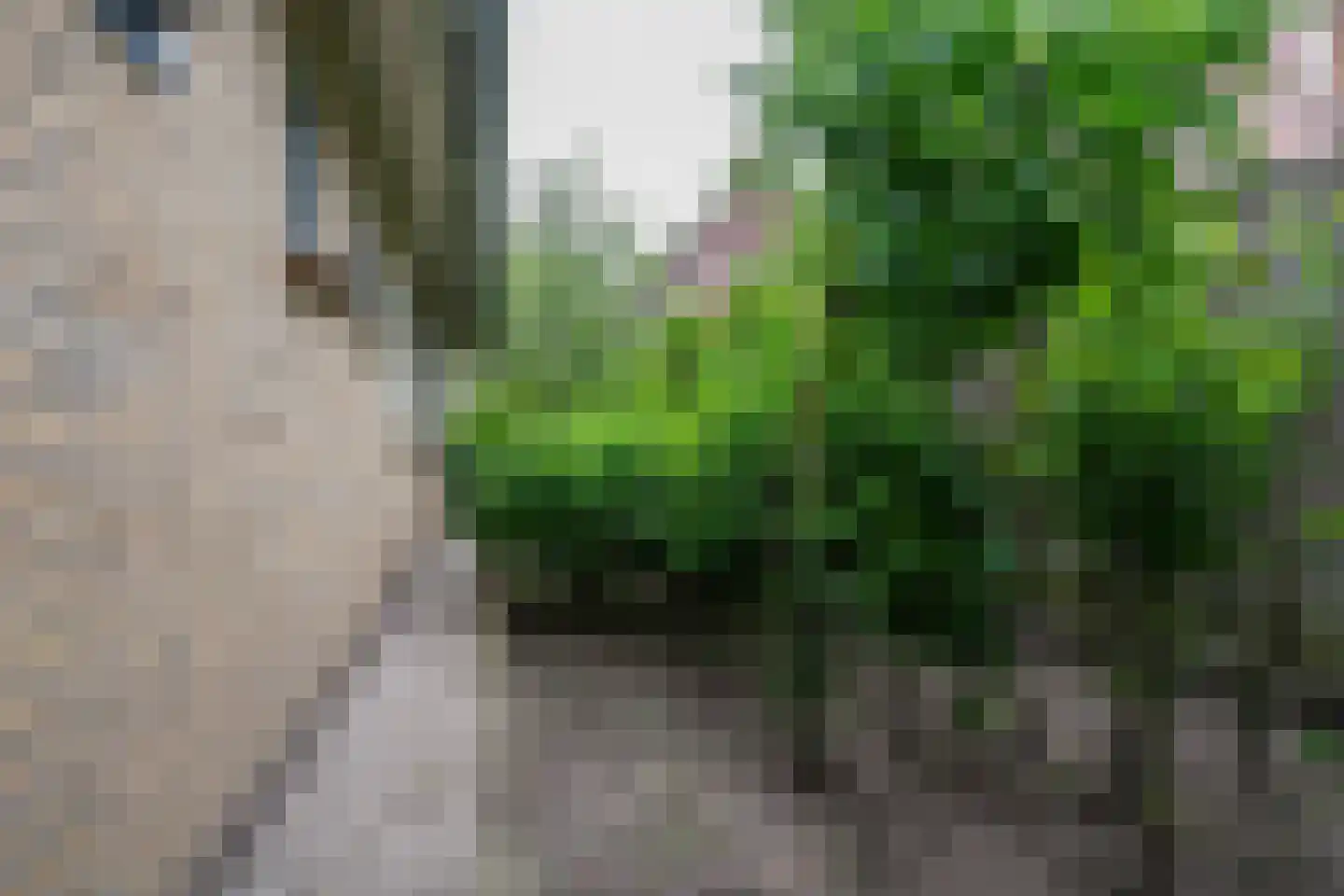 Oude Kerkstraat 30 A Veldhoven thumbnail 54